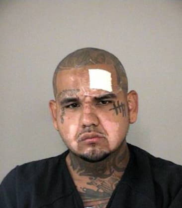 Ismael Castillo - Fort Bend County, TX 